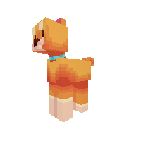 Shiba inu dog