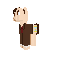 The Tenth Doctor