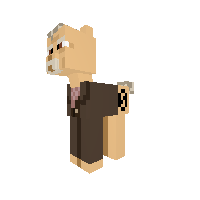 The War Doctor