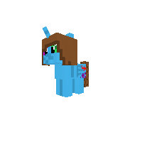 New Pony