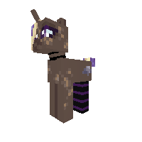 New Pony