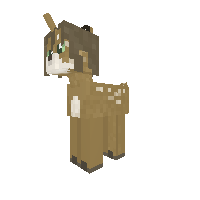 New Pony