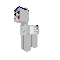 New Pony