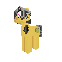 New Pony