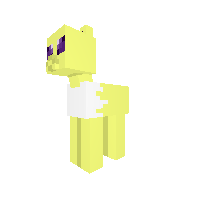New Pony