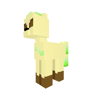 New Pony