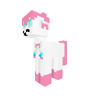 New Pony