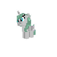 New Pony