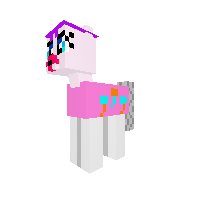 New Pony