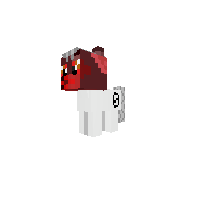 New Pony