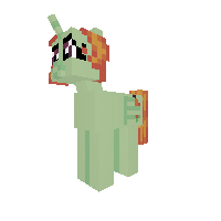 New Pony