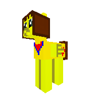 New Pony