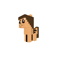 New Pony