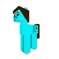New Pony