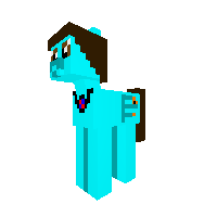 New Pony