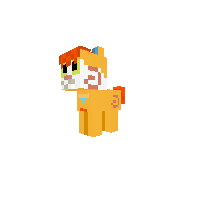 New Pony