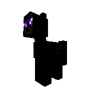 Black Cat