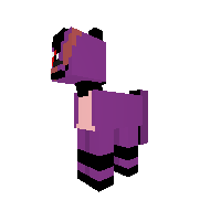 New Pony