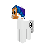 New Pony