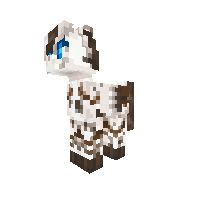 Cacao Curl (Gift)
