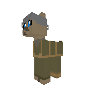 U.S Ranger Pony