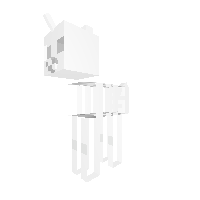 Skeleton