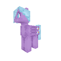 Starlight Wish