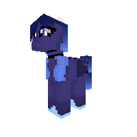 New Pony