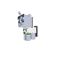 filly jet set