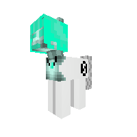 New Pony