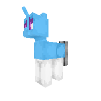 New Pony