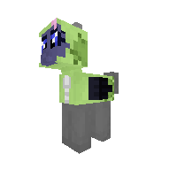 gir hooded pony