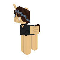 New Pony