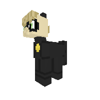 Chat Noir