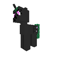 New Pony