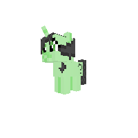 New Pony