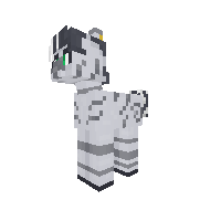 New Pony