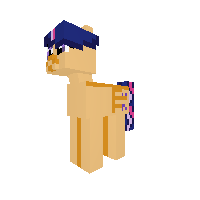 New Pony