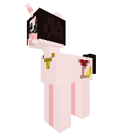 New Pony