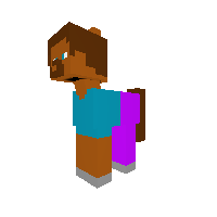 steve pony