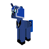 New Pony