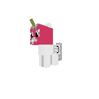 New Pony