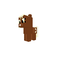 New Pony