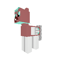 New Pony