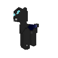 New Pony