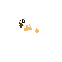 Invisible Eevee