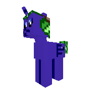 New Pony