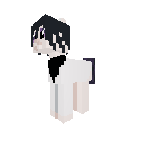 New Pony