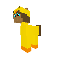Skeppy Pony