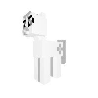 Colorless Poppy